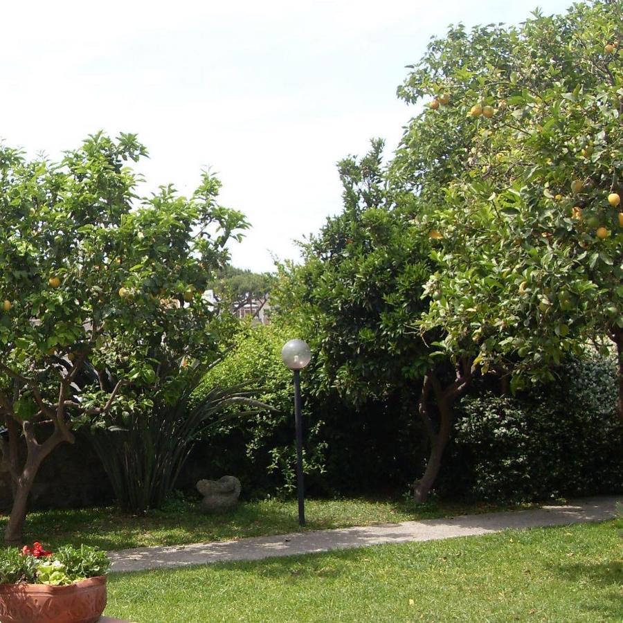 Bilocale con open-space super centrale con WI-FI Forio di Ischia Esterno foto