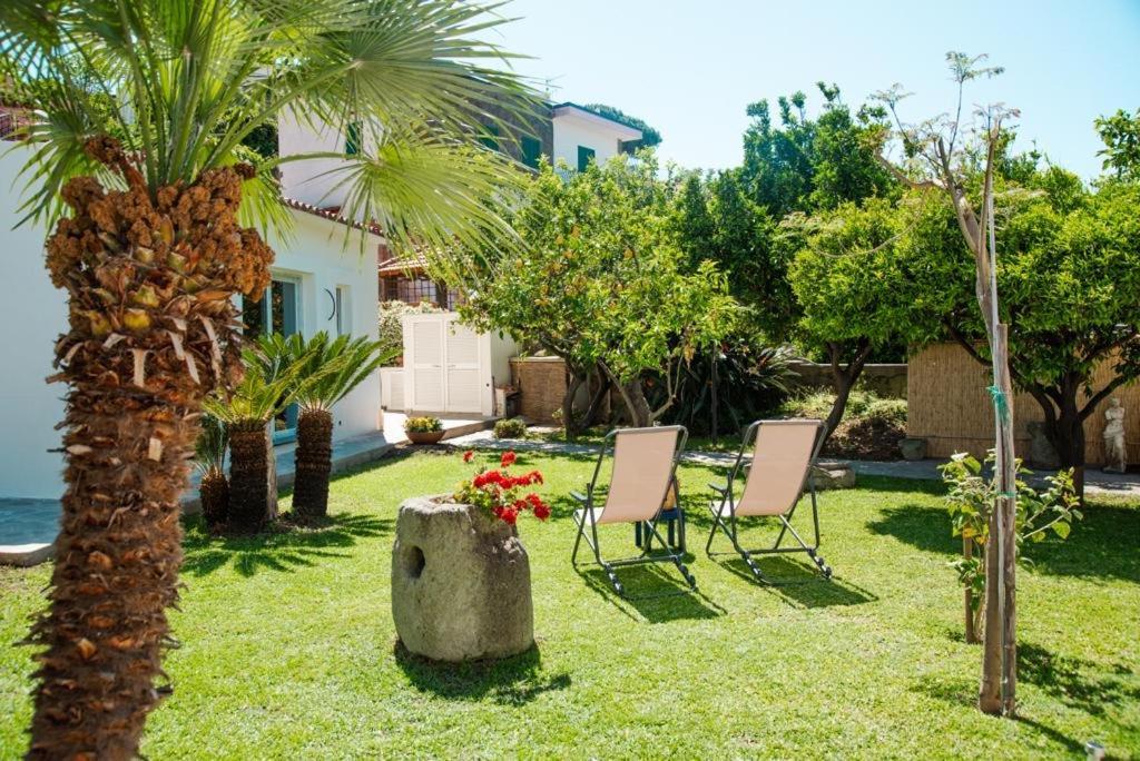 Bilocale con open-space super centrale con WI-FI Forio di Ischia Esterno foto